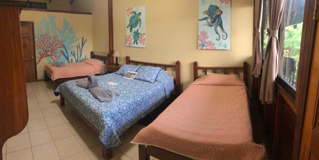 Hotel Jinetes De Osa Drakes Bay 외부 사진